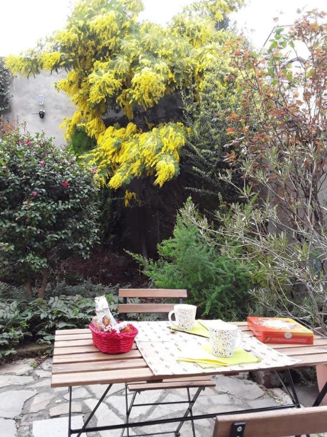 Mimosa House Torino Villa Dış mekan fotoğraf
