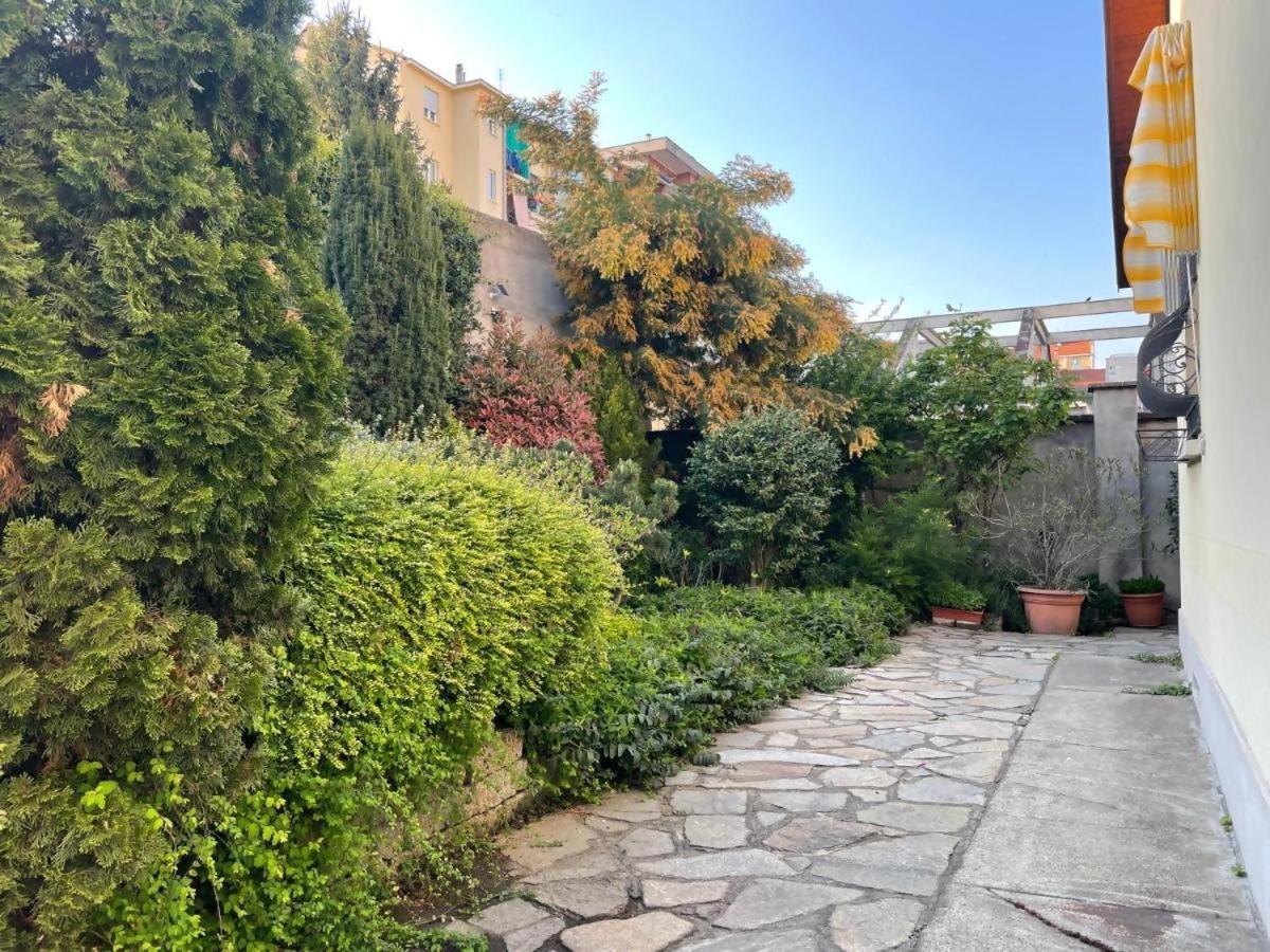 Mimosa House Torino Villa Dış mekan fotoğraf